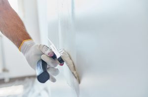 Home Painter